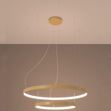Thoro TH.214 - LED Luster na sajli RIO LED/80W/230V CRI 90 3000K zlatna