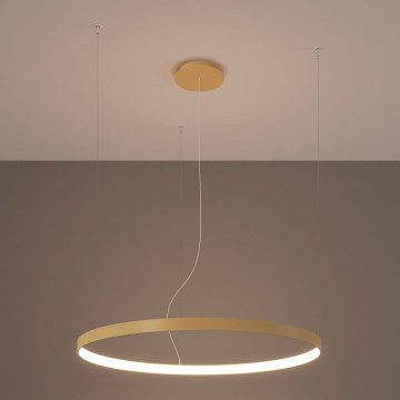Thoro TH.216 - LED Luster na sajli RIO LED/30W/230V CRI 90 3000K pr. 55 cm zlatna