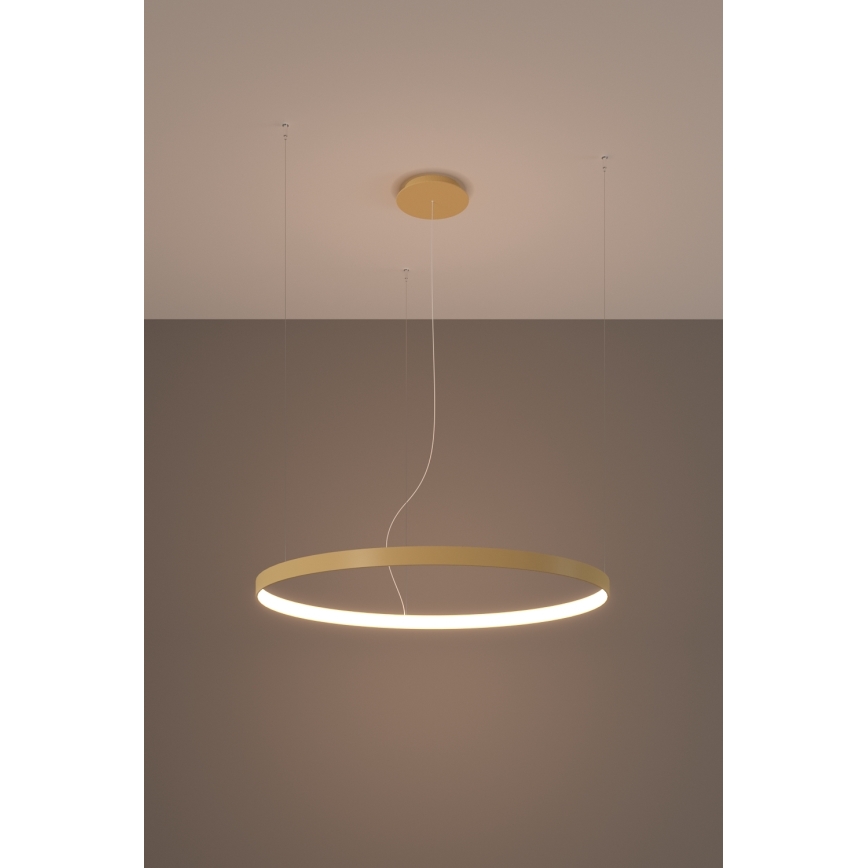 Thoro TH.216 - LED Luster na sajli RIO LED/30W/230V CRI 90 3000K pr. 55 cm zlatna