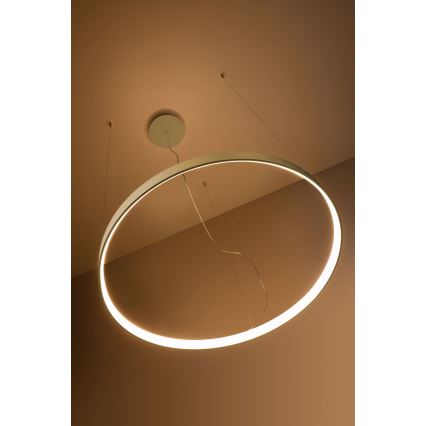Thoro TH.216 - LED Luster na sajli RIO LED/30W/230V CRI 90 3000K pr. 55 cm zlatna