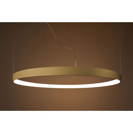 Thoro TH.216 - LED Luster na sajli RIO LED/30W/230V CRI 90 3000K pr. 55 cm zlatna