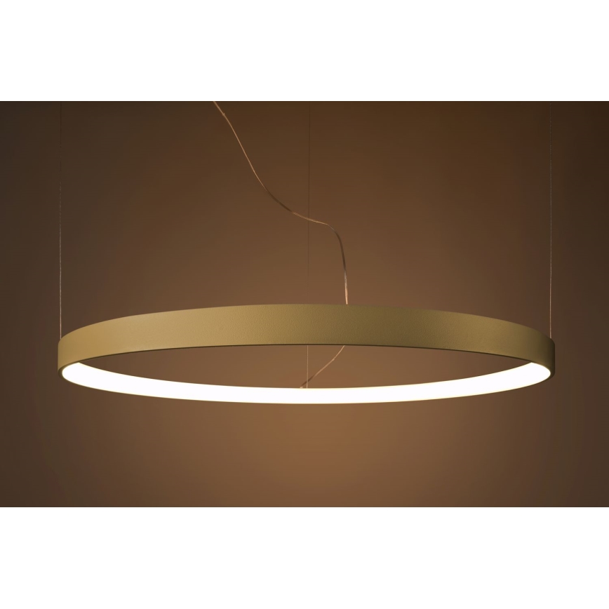 Thoro TH.216 - LED Luster na sajli RIO LED/30W/230V CRI 90 3000K pr. 55 cm zlatna