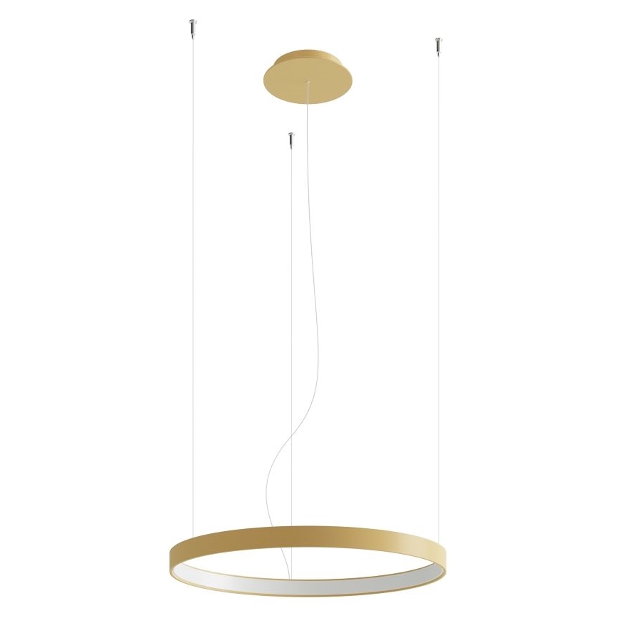 Thoro TH.216 - LED Luster na sajli RIO LED/30W/230V CRI 90 3000K pr. 55 cm zlatna