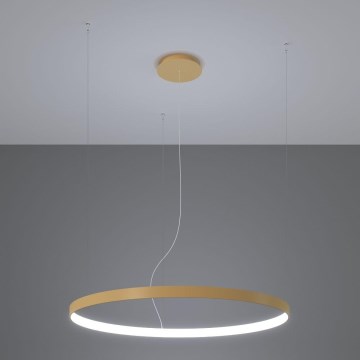Thoro TH.217 - LED Luster na sajli RIO LED/30W/230V CRI 95 4000K pr. 55 cm zlatna