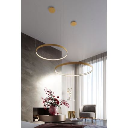 Thoro TH.217 - LED Luster na sajli RIO LED/30W/230V CRI 95 4000K pr. 55 cm zlatna