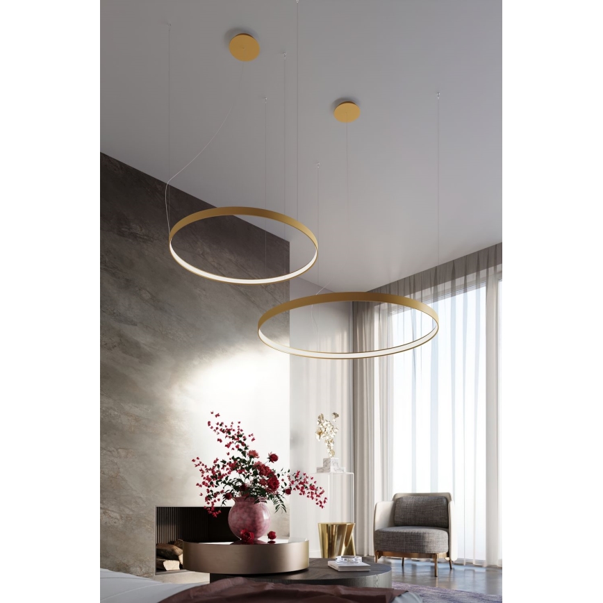 Thoro TH.217 - LED Luster na sajli RIO LED/30W/230V CRI 95 4000K pr. 55 cm zlatna