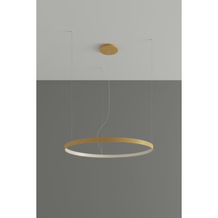 Thoro TH.217 - LED Luster na sajli RIO LED/30W/230V CRI 95 4000K pr. 55 cm zlatna