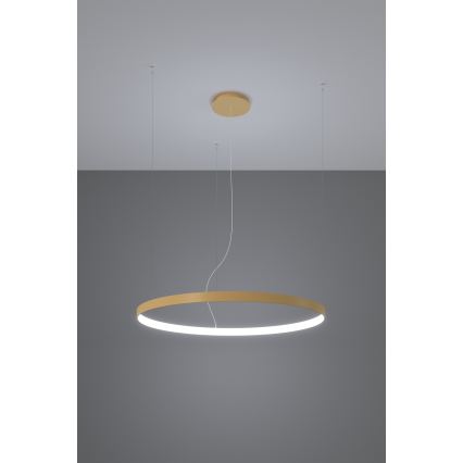Thoro TH.217 - LED Luster na sajli RIO LED/30W/230V CRI 95 4000K pr. 55 cm zlatna