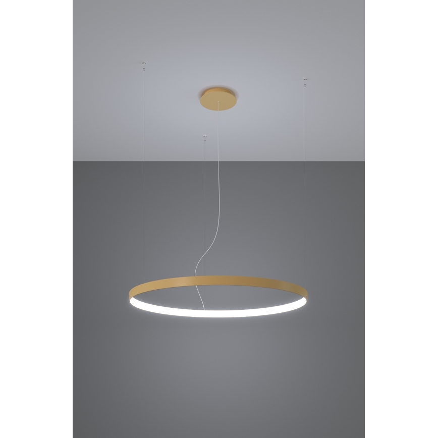 Thoro TH.217 - LED Luster na sajli RIO LED/30W/230V CRI 95 4000K pr. 55 cm zlatna