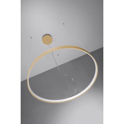 Thoro TH.217 - LED Luster na sajli RIO LED/30W/230V CRI 95 4000K pr. 55 cm zlatna