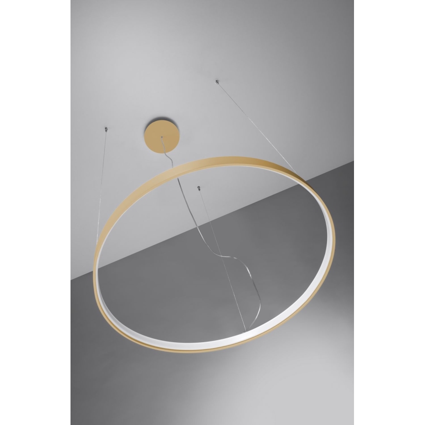 Thoro TH.217 - LED Luster na sajli RIO LED/30W/230V CRI 95 4000K pr. 55 cm zlatna