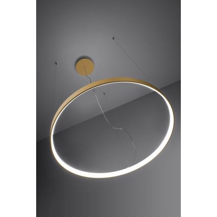 Thoro TH.217 - LED Luster na sajli RIO LED/30W/230V CRI 95 4000K pr. 55 cm zlatna