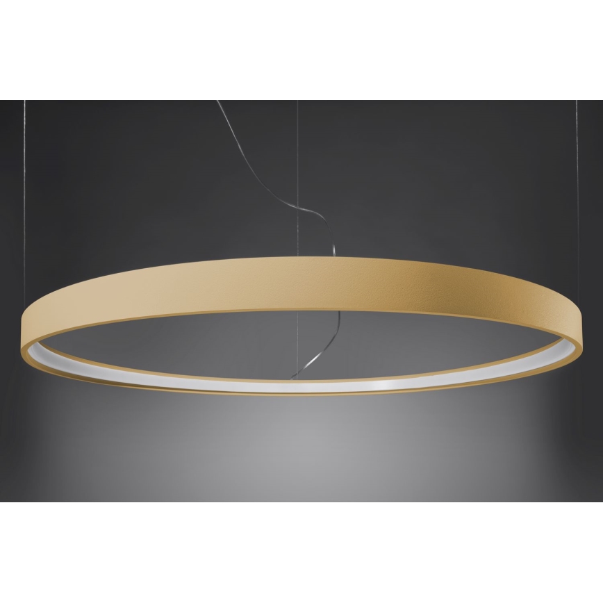 Thoro TH.217 - LED Luster na sajli RIO LED/30W/230V CRI 95 4000K pr. 55 cm zlatna