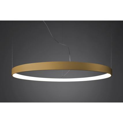 Thoro TH.217 - LED Luster na sajli RIO LED/30W/230V CRI 95 4000K pr. 55 cm zlatna