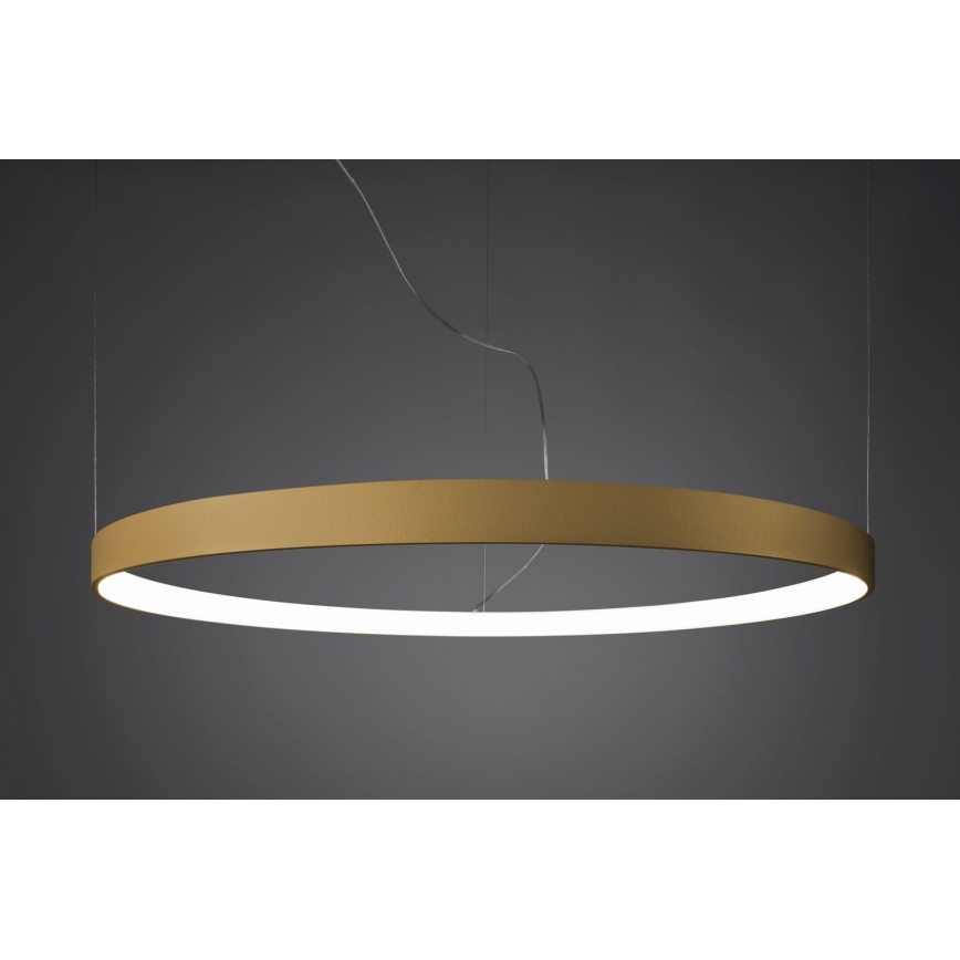 Thoro TH.217 - LED Luster na sajli RIO LED/30W/230V CRI 95 4000K pr. 55 cm zlatna