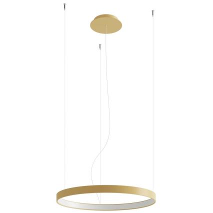 Thoro TH.217 - LED Luster na sajli RIO LED/30W/230V CRI 95 4000K pr. 55 cm zlatna