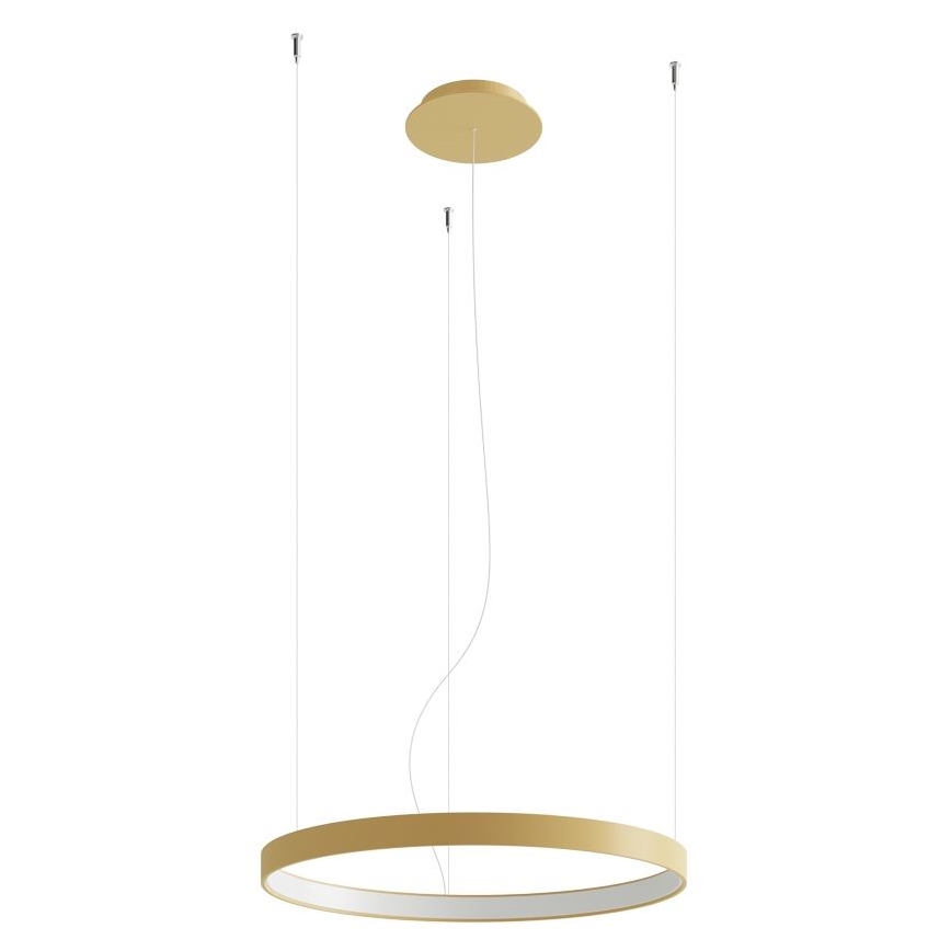 Thoro TH.217 - LED Luster na sajli RIO LED/30W/230V CRI 95 4000K pr. 55 cm zlatna
