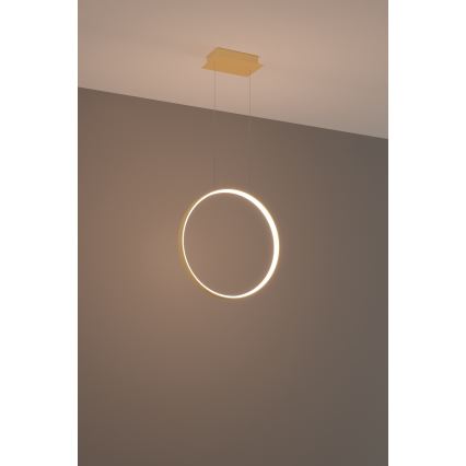 Thoro TH.220 - LED Luster na sajli RIO LED/30W/230V CRI 90 3000K pr. 55 cm zlatna