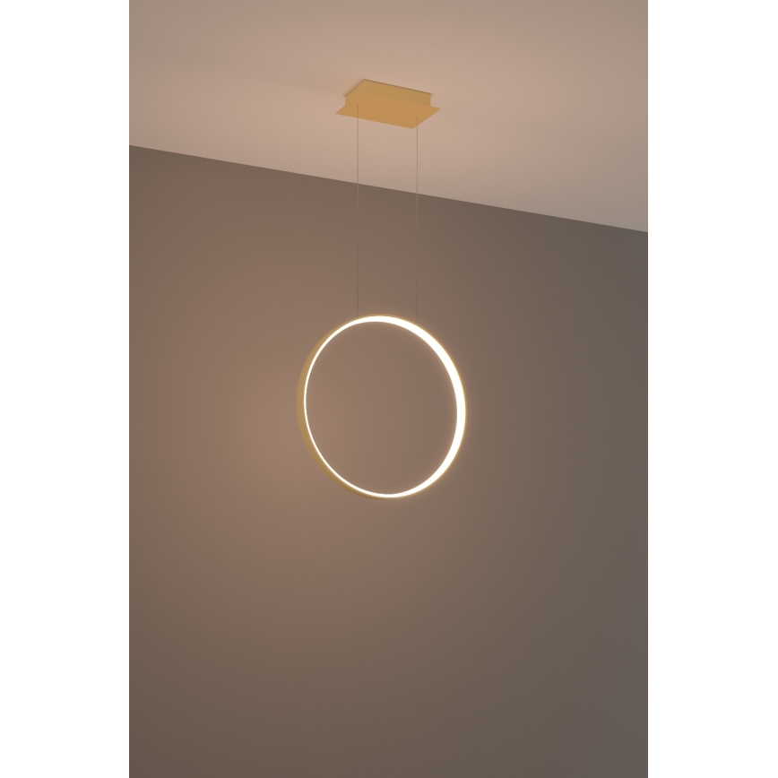 Thoro TH.220 - LED Luster na sajli RIO LED/30W/230V CRI 90 3000K pr. 55 cm zlatna