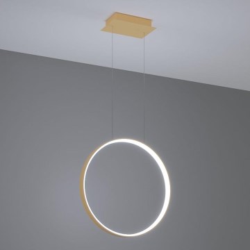 Thoro TH.221 - LED Luster na sajli RIO LED/30W/230V CRI 95 4000K pr. 55 cm zlatna