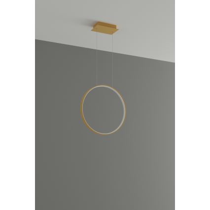 Thoro TH.221 - LED Luster na sajli RIO LED/30W/230V CRI 95 4000K pr. 55 cm zlatna