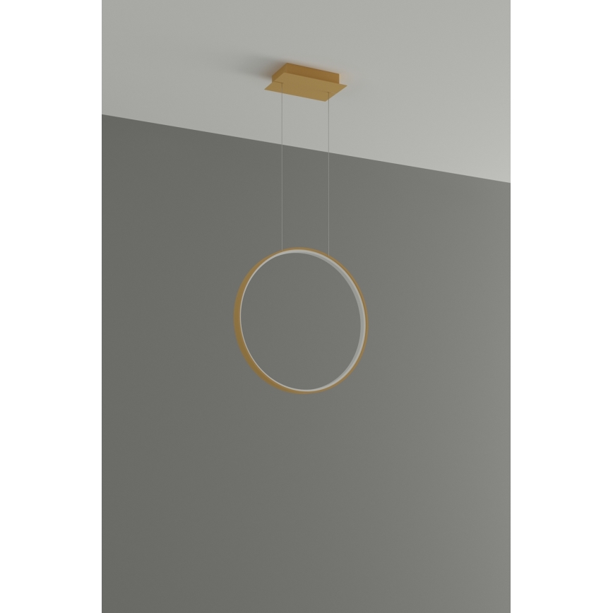 Thoro TH.221 - LED Luster na sajli RIO LED/30W/230V CRI 95 4000K pr. 55 cm zlatna