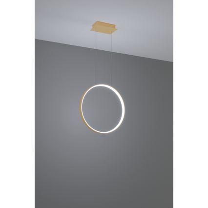 Thoro TH.221 - LED Luster na sajli RIO LED/30W/230V CRI 95 4000K pr. 55 cm zlatna