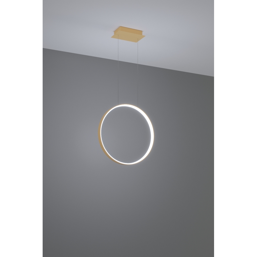 Thoro TH.221 - LED Luster na sajli RIO LED/30W/230V CRI 95 4000K pr. 55 cm zlatna
