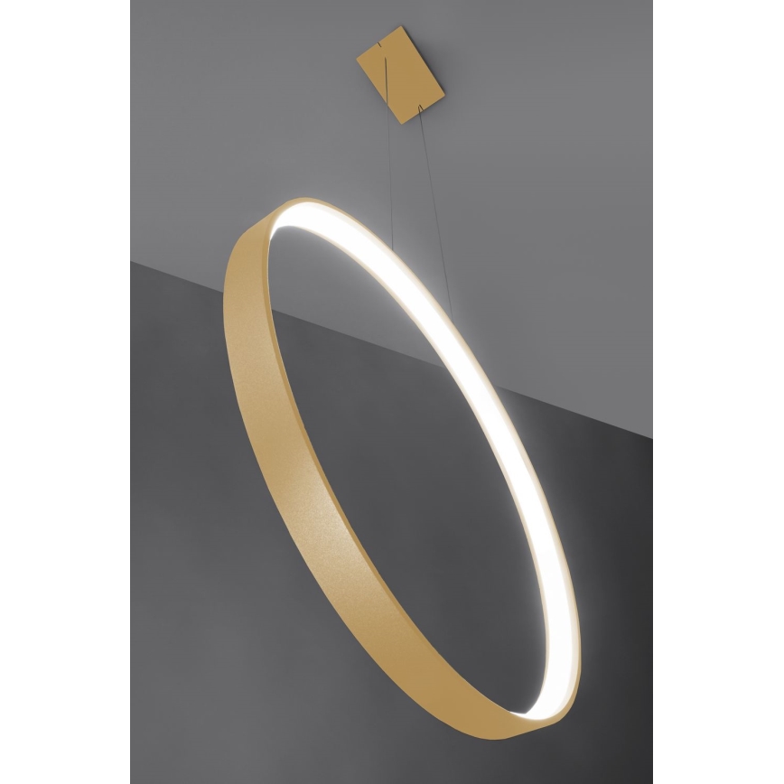 Thoro TH.221 - LED Luster na sajli RIO LED/30W/230V CRI 95 4000K pr. 55 cm zlatna