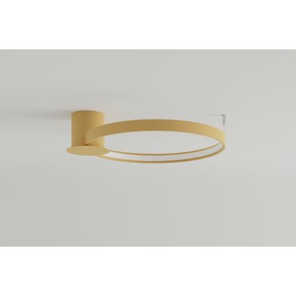 Thoro TH.222 - LED Stropna svjetiljka RIO LED/30W/230V CRI 90 3000K pr. 55 cm zlatna