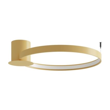Thoro TH.222 - LED Stropna svjetiljka RIO LED/30W/230V CRI 90 3000K pr. 55 cm zlatna