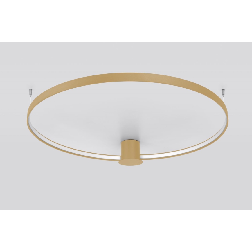 Thoro TH.222 - LED Stropna svjetiljka RIO LED/30W/230V CRI 90 3000K pr. 55 cm zlatna