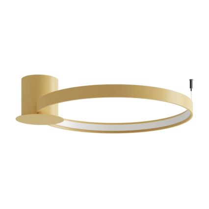 Thoro TH.223 - LED Stropna svjetiljka RIO LED/30W/230V CRI 95 4000K pr. 55 cm zlatna