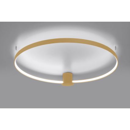 Thoro TH.223 - LED Stropna svjetiljka RIO LED/30W/230V CRI 95 4000K pr. 55 cm zlatna