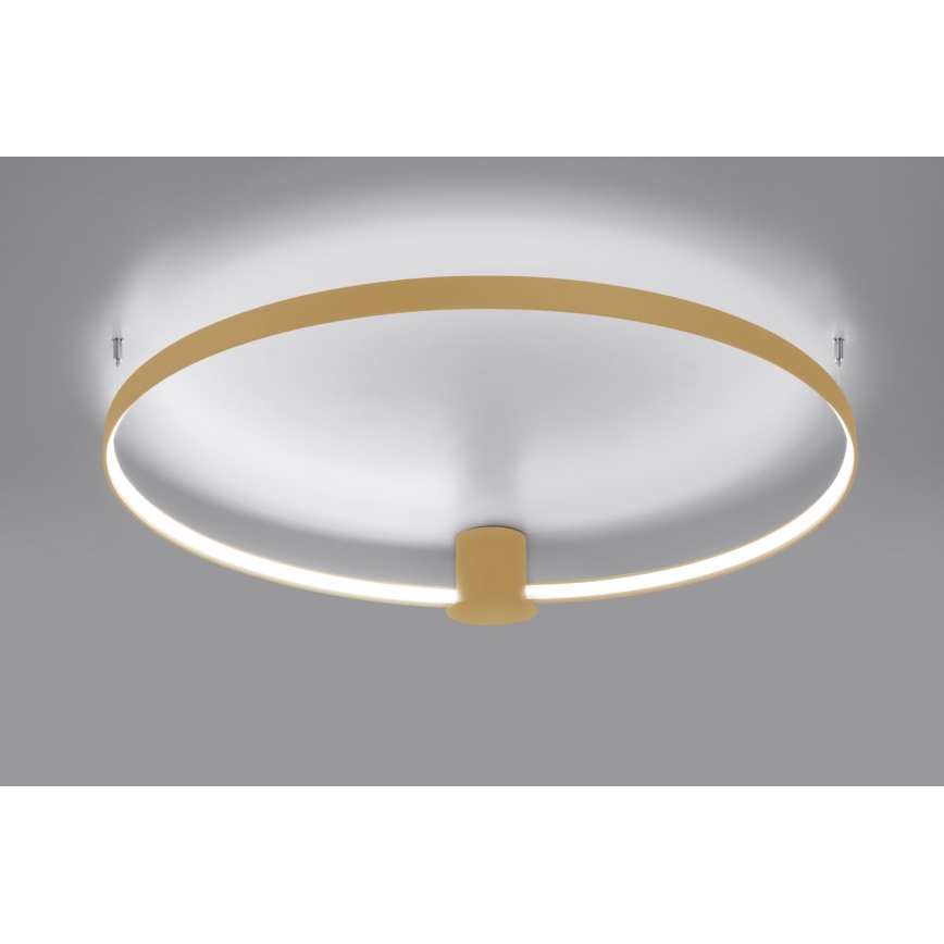 Thoro TH.223 - LED Stropna svjetiljka RIO LED/30W/230V CRI 95 4000K pr. 55 cm zlatna