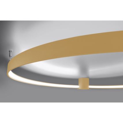Thoro TH.223 - LED Stropna svjetiljka RIO LED/30W/230V CRI 95 4000K pr. 55 cm zlatna