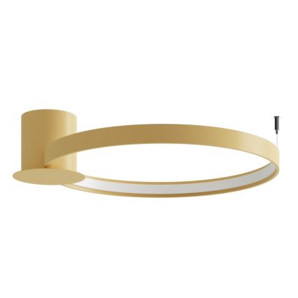 Thoro TH.223 - LED stropna svjetiljka RIO LED/30W/230V CRI 98 4000K Ø 55 cm zlatna