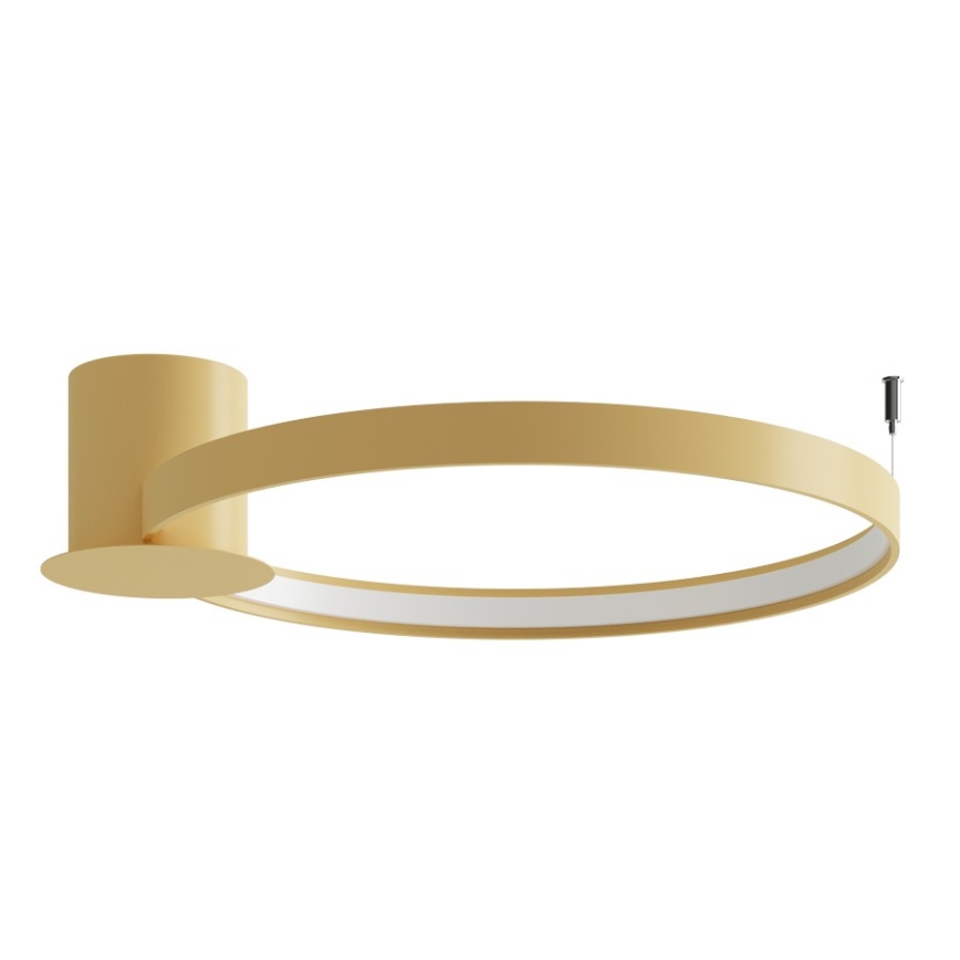 Thoro TH.223 - LED stropna svjetiljka RIO LED/30W/230V CRI 98 4000K Ø 55 cm zlatna