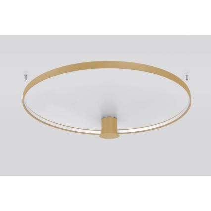Thoro TH.224 - LED Stropna svjetiljka RIO LED/50W/230V CRI 90 3000K pr. 78 cm zlatna