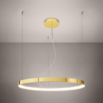 Thoro TH.246 - LED Luster na sajli RIO LED/50W/230V CRI 90 3000K pr. 78 cm zlatna