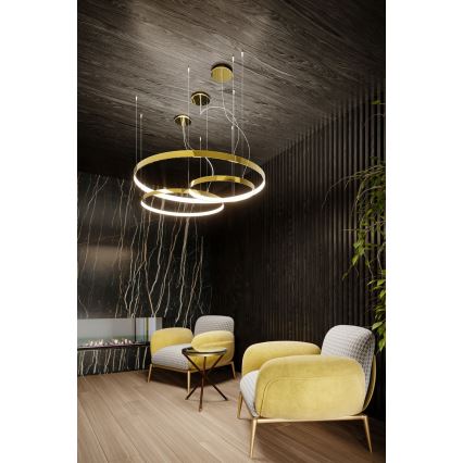 Thoro TH.246 - LED Luster na sajli RIO LED/50W/230V CRI 90 3000K pr. 78 cm zlatna