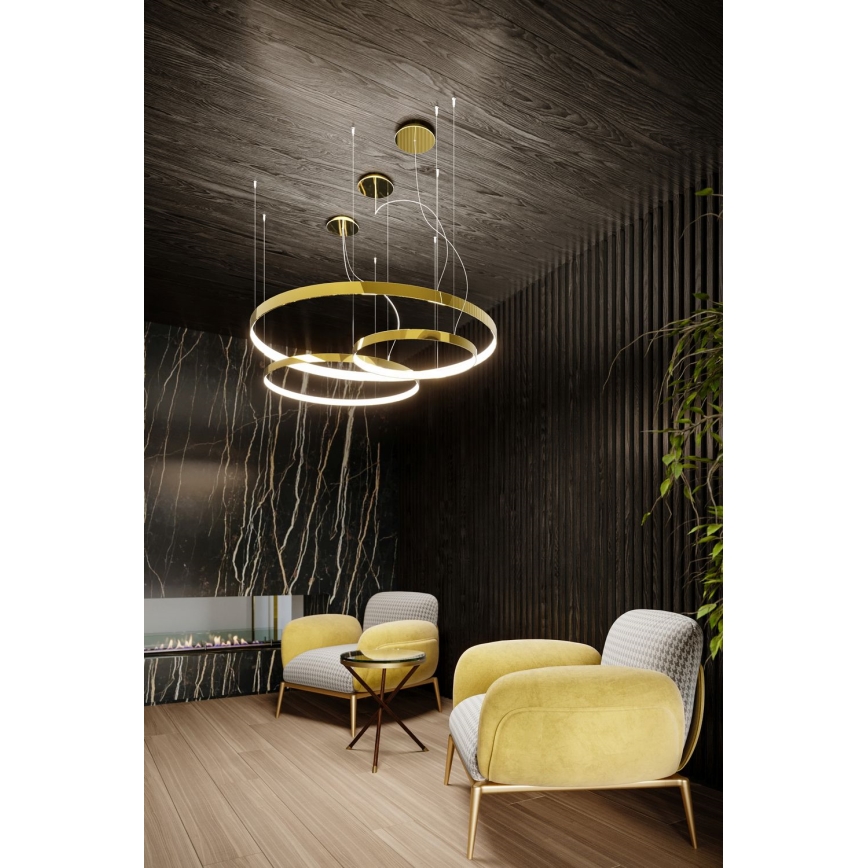 Thoro TH.246 - LED Luster na sajli RIO LED/50W/230V CRI 90 3000K pr. 78 cm zlatna