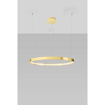 Thoro TH.246 - LED Luster na sajli RIO LED/50W/230V CRI 90 3000K pr. 78 cm zlatna