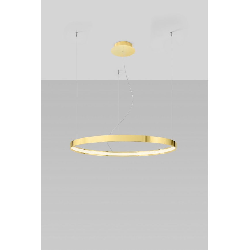 Thoro TH.246 - LED Luster na sajli RIO LED/50W/230V CRI 90 3000K pr. 78 cm zlatna