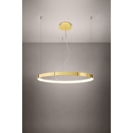 Thoro TH.246 - LED Luster na sajli RIO LED/50W/230V CRI 90 3000K pr. 78 cm zlatna