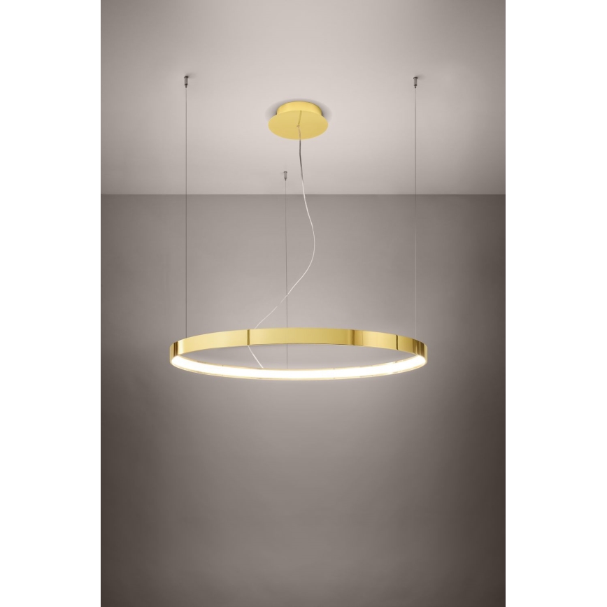Thoro TH.246 - LED Luster na sajli RIO LED/50W/230V CRI 90 3000K pr. 78 cm zlatna