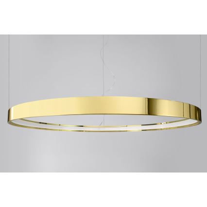 Thoro TH.246 - LED Luster na sajli RIO LED/50W/230V CRI 90 3000K pr. 78 cm zlatna