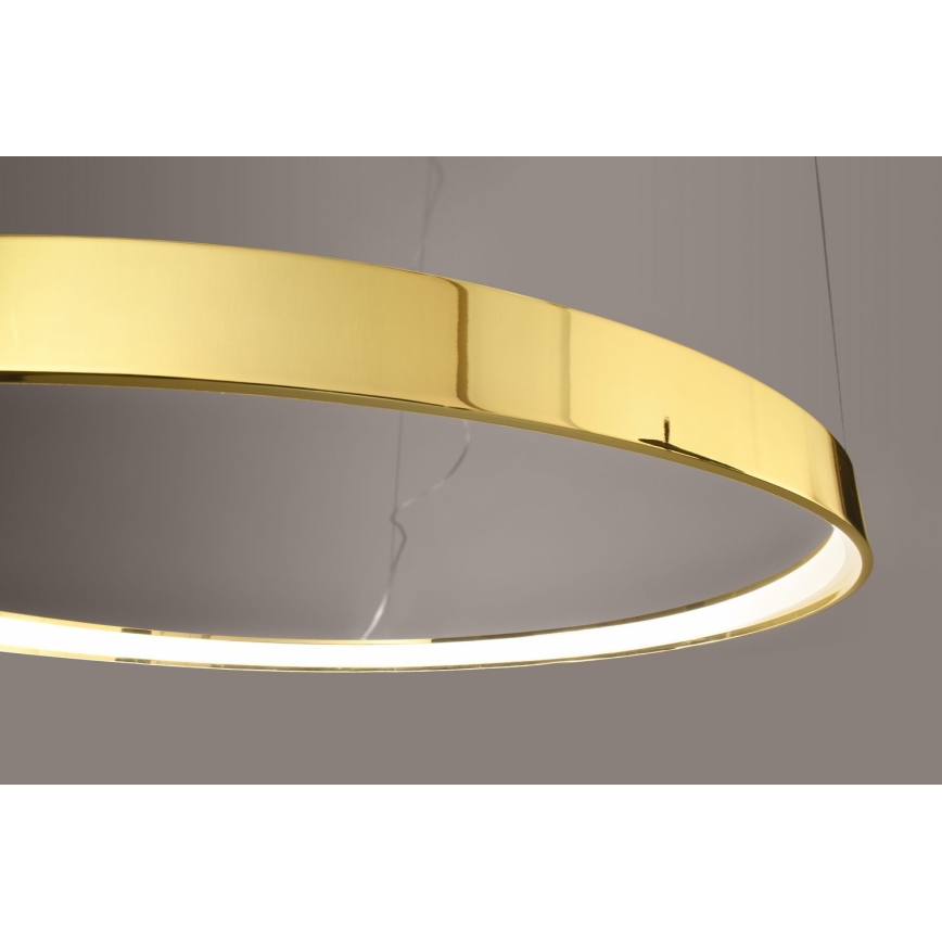 Thoro TH.246 - LED Luster na sajli RIO LED/50W/230V CRI 90 3000K pr. 78 cm zlatna