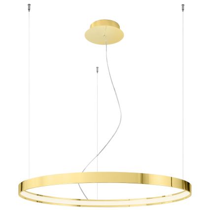 Thoro TH.246 - LED Luster na sajli RIO LED/50W/230V CRI 90 3000K pr. 78 cm zlatna