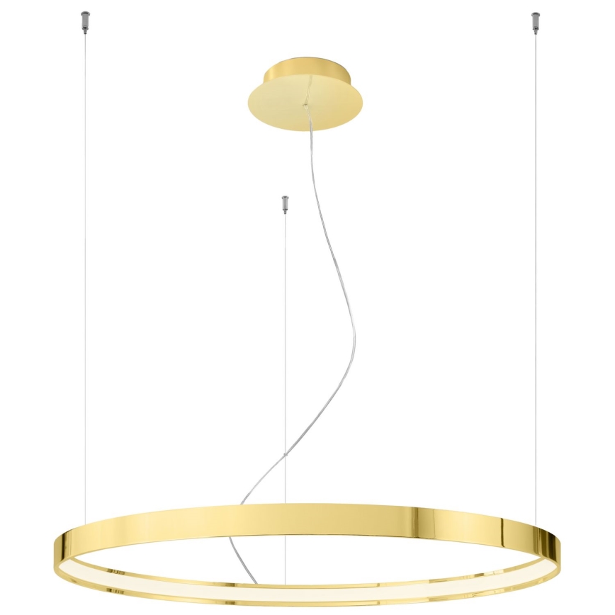 Thoro TH.246 - LED Luster na sajli RIO LED/50W/230V CRI 90 3000K pr. 78 cm zlatna